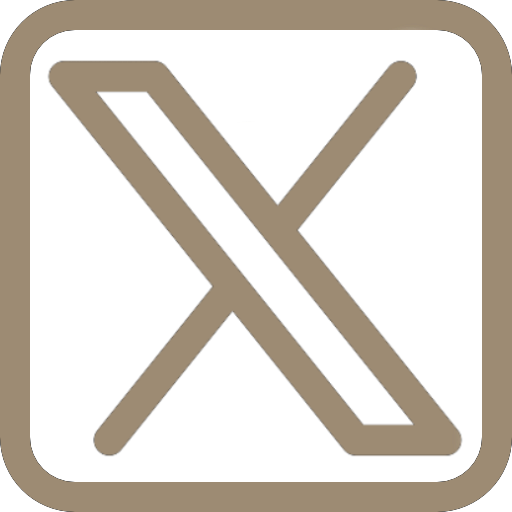 X Icon